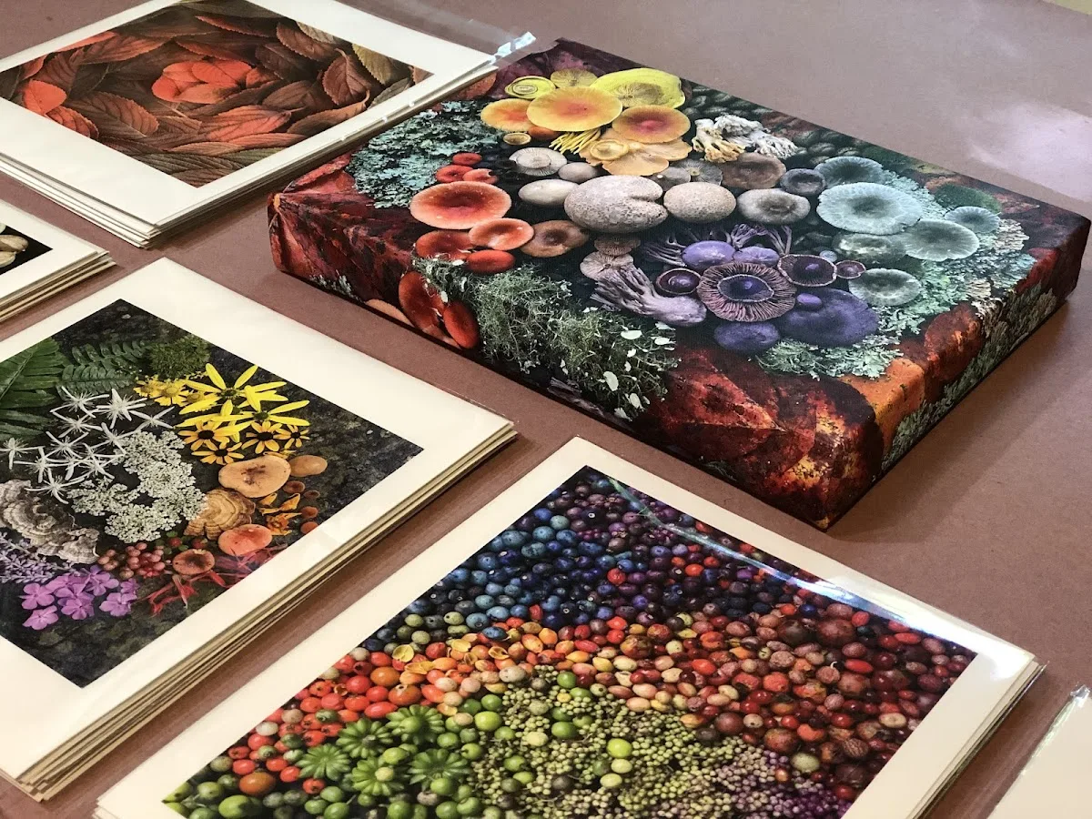 Asheville Fine Art Printing