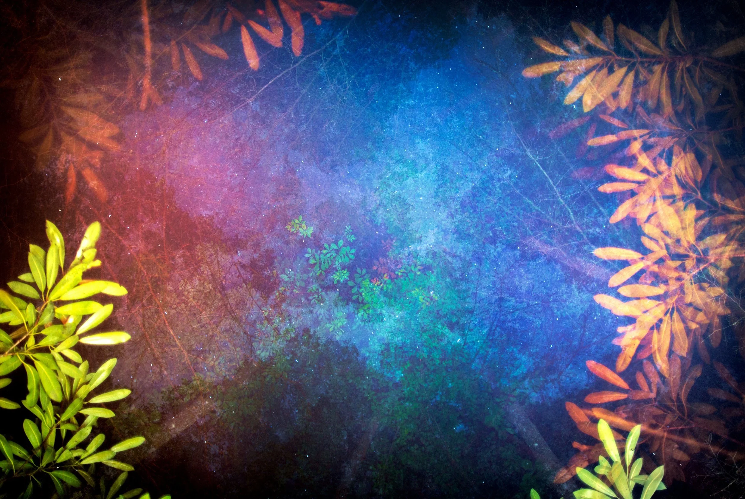 Asheville Fine Art Printing gallery 2